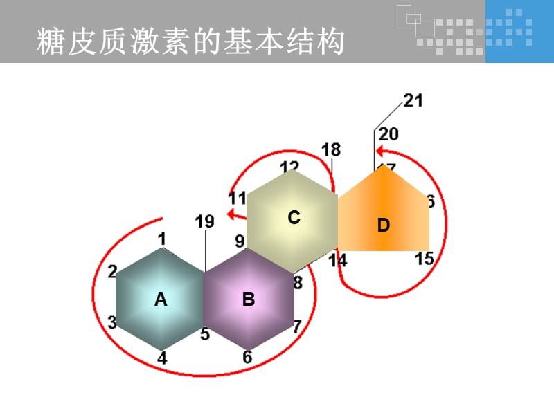氟轻松是如何发挥其药理作用的？